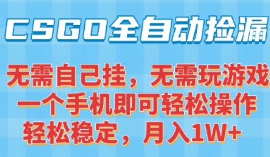CSGO自动捡漏项目，最新独家玩法，一个手机可操作，新手小白轻松月入1W+，操作简单易上手【揭秘】-创业项目库