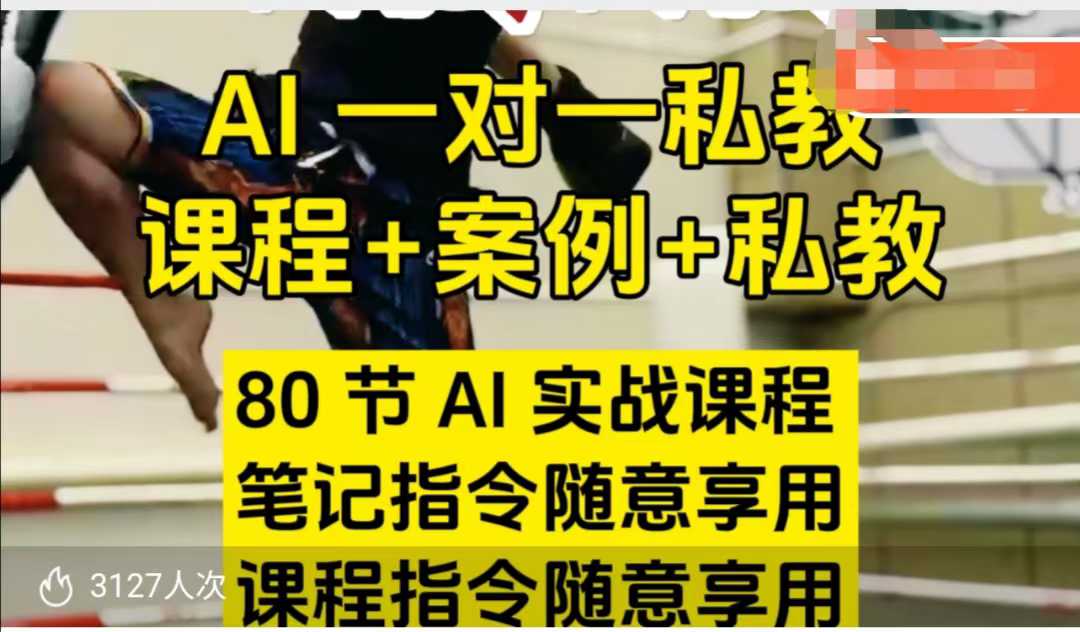AI指令实战课，课程+案例，80节AI实战课程，笔记指令随意享用，课程指令随意享用(更新7月)-创业项目库