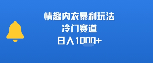 情趣内衣暴利玩法，冷门赛道，日入1k+-创业项目库