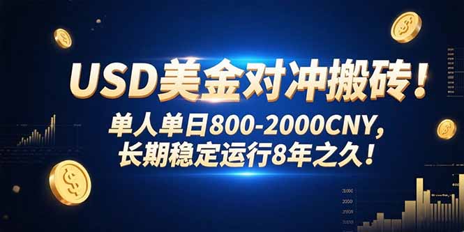 USD美金对冲搬砖!单人单日800-2000CNY，长期稳定运行8年之久!-创业项目库