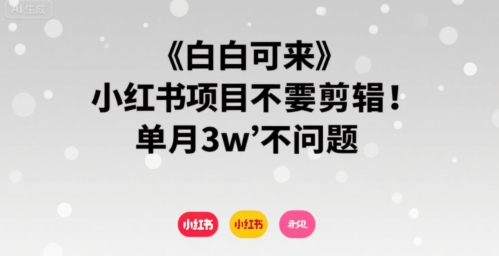 小白可来 小红书项目不需要剪辑 单月3w不是问题-创业项目库
