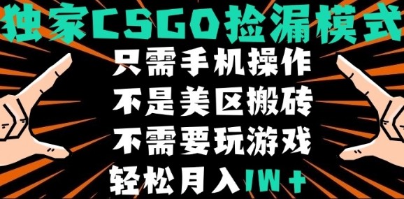 CSGO自动捡漏项目，最新独家玩法，不是美区搬砖，不需要了解和玩游戏，新手小白轻松月入1W+【揭秘】-创业项目库