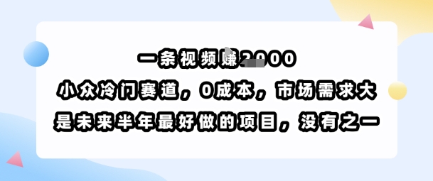 一条视频挣1k，小众冷门赛道，0成本，市场需求大，是未来半年最好做的项目，没有之一-创业项目库
