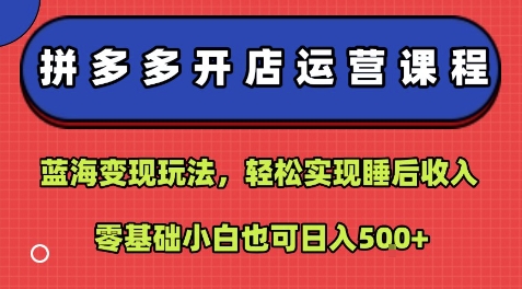 拼多多开店运营课程：蓝海变现玩法，轻松实现睡后收入，零基础小白也可日入5张-创业项目库